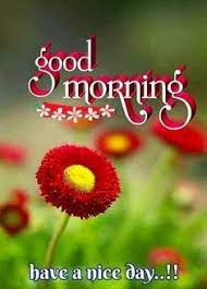 Maybe you would like to learn more about one of these? 10 Good Morning Beautiful Scenery Images Ideas In 2021 Good Morning Beautiful Good Morning Good Morning Images