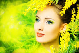 Risultati immagini per mimose