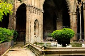 Spain Barcelona Inside The Cathedral Cloister