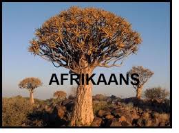 Afrikaans Wced Eportal