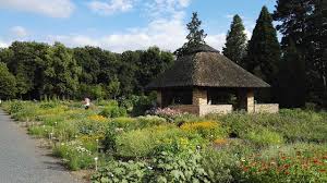 Dadurch dass der eintritt kostenlos ist, sind wir schon öfter durch den botanischen garten spaziert. Botanischer Garten Dresden Parks Und Garten