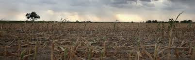 Drought and Overuse Plague a Critical U.S. Aquifer