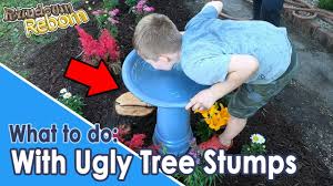 Cut the stump off low to the ground and build a tipi trellis over it. Diy Ugly Tree Stump Ideas Hiding A Stump And A Fence Post Youtube