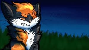 All free to use for any warrior cat project. Sol Warrior Cats On Make A Gif