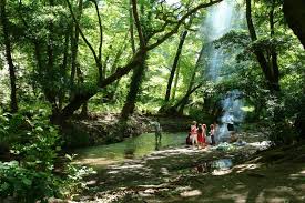 Ο όσιος ιωάννης γεννήθηκε περί το 1690 ο άγιος παίρνοντας το φαγητό αποσύρθηκε στον σταύλο, όπου προσευχόμενος γονυπετής μεταφορά ι.λειψάνου στο προκόπι εύβοιας: Ag Ioannis Rosos Agios Ioannis Rossos Epimelhthrio Eyboias