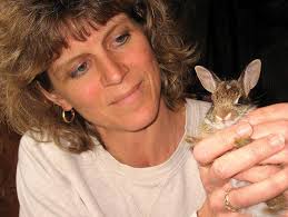 Bunny business : Dennis woman saves orphaned cottontails