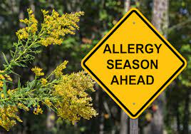 When Will Hay Fever Season End This Year