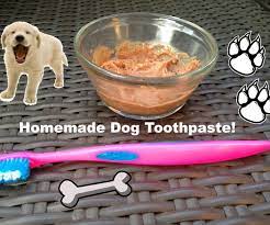 Homemade Toothpaste For Dogs 6 Steps With Pictures Instructables