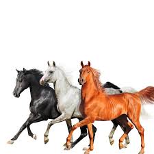 Lil nas x — old town road (instrumental) 02:35. Audio Lil Nas X Old Town Road Diplo Remix Mp3 Download