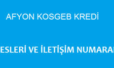 Kosgeb Afyon Adresleri Ve Iletisim Numaralari Iletisim Bilgi Saglik
