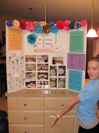 It took a few hours for anything visual to happen. Forming A Hypothesis For A Research Paper Citation Pidwirny M 2006 Glossary Of Terms H Fundament Flowers Science Project Science Projects Science Fair