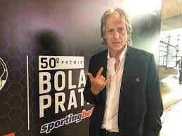 Shows the template collapsed to the title bar if there is a {{navbar}}, a {{sidebar}}, or some other table on the page with the collapsible attribute. Bola De Prata 2019 Veja Os Melhores Do Brasileirao Na Premiacao Da Espn
