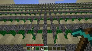 Cactus farm are very easy, it's design is literally stays the same since it's inception. Cactuslimiter No More Skyscrapers Cactus Farm Spigotmc High Performance Minecraft
