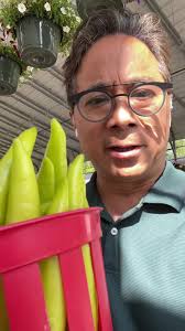 The Bendits of Camaron Pepper