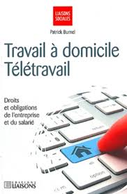 Comment gagner de l'argent ? Travail A Domicile Teletravail Patrick Burnel Librairie Eyrolles