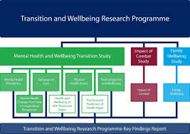 Transition And Wellbeing Research Programme Department Of