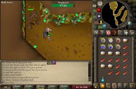 Watch osrs pvm / boss video guides for raids, tob, corp, gwd & more. Oldschool Runescape Ironman Guide By Ozirisrs Osrs Kruxor
