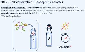 Pack complet Kéfir de fruit BIO