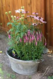 Dieser Sommer Sommer Ist Ganz Langsam Und Leise Vergangen Und Man Spurt Ganz Deutlich Wie Der Herbst Naht Bei Zinkwanne Bepflanzen Bepflanzung Pflanzideen