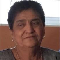 Maria Luisa Ayala de Amaya Obituary