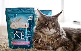 Purina One 3 Haftada Degisim Vaat Ediyor