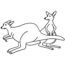 Maybe you would like to learn more about one of these? Top 10 Free Printable Kangaroo Coloring Pages Online