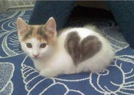 Χωρίς υποχρεωτική καραντίνα πλέον η επιστροφή των κατοίκων της χώρας που θα επισκεφθούν την ελλάδα και ακόμη 18 χώρες της εε. 13 Gates Me Periergo Trixwma Aggouria Net