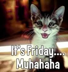 Thank God Its Friday Pictures Funny Terms Grumpy Cat Grumpy Kitty Tgif Thank God Its Friday Friday Cat Friday Humor Friday Pictures Funny Minion Memes