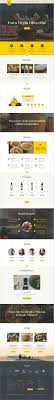 Olive Oil Farm And Vinegars Production Wordpress Theme Olive Oil Benefits Olive Oil Wordpress Template