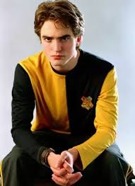 He appears in the video game lego harry potter: What House Did Cedric Diggory Belong To In The Harry Potter Books Quora