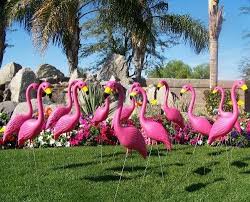 30 Large Pink Yard Flamingos Sold In Bulk For A Pink Flamingo Flocking Or A Pink Flamingos Fundraiser Pink Flamingos Lawn Ornaments Yard Flamingos Pink Lawn