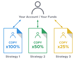 Copy Trading With Duplitrade Duplitrade