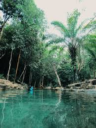 Taman rimba teluk bahang is a forest park in teluk bahang. Dc No Twitter Taman Rimba Teluk Bahang Pulau Pinang Visitpenang Https T Co Akk7y9u4iz