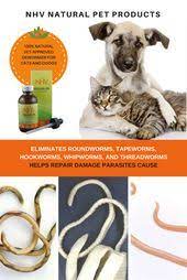 Discussing those common worms in dogs and single celled organisms that live in the intestines and hearts of dogs does not make for polite dinner conversation. 61 Dog Worms Ideas