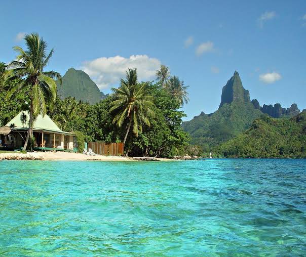 Moorea island, Images?q=tbn%3AANd9GcTKKImZVrfjD21SkjsRKnJukiGJf_r2BSkGmBiyt9UzZJKUEiFV