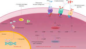 Comment on n engl j med. Analysis Of Data From Breast Diseases Treated With 5 Alpha Reductase Inhibitors For Benign Prostatic Hyperplasia Sciencedirect