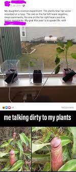 Venus flytrap : r/memes