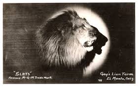 A lion, framed by a golden circle of film stock, triumphantly roaring just before the opening credits roll. Incredible Behind The Scenes Photos From The Making Of The Mgm Lion Logos Vintage Everyday