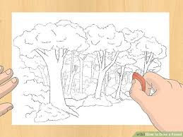 We did not find results for: 20 Fantastic Ideas Forest Ecosystem Drawing Easy Barnes Family