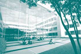 Wohngemeinschaft soll studenten und studentin zusammen leben? Mainz Transnational German Studies
