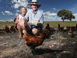 We did not find results for: Free Range Eggs The Hood Family S Passion For Agriculture Rekindled The Weekly Times