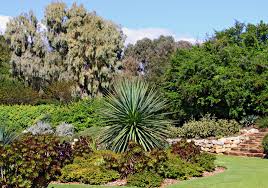 This plant is a survivor from that. Drought Tolerant Gardening The Cheaper Landscape Alternative Gardening Know How