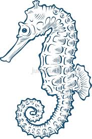 Background Ocean Floor Clipart Black And White Seahorse Sea Horse Nature Ocean Aquatic Underwater Vector Hand Drawn Marine Engraving Illustration On White Background Sticker By Julkapulka In 2020 Sea Horses Illustration Sea Animals Drawings Engraving Illustration