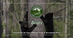 Parks & Recreation "Bears" Program — Lackawaxen