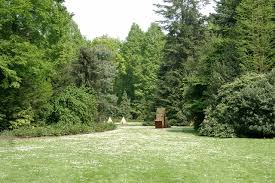 Der forstbotanische garten wurde im jahr 1964, am tag des baumes eröffnet. Eghn Forstbotanischer Garten Ein Bluhendes Paradies Im Suden Von Koln