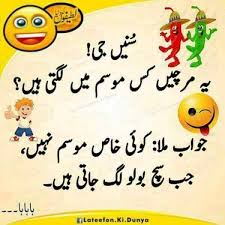 This page is created for fun and joy only & serious poetry Urdu Funny Jokes Photos Facebook