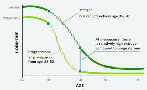 Treatment may affect the ovaries and cause irregular periods for up to a year. 5 Ways To Reduce Estrogen Dominance When You Have Thyroid Disease Drhagmeyer Com