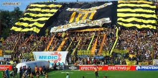 Almirante brown to win or acassuso to win. Almirante Brown Futebol Torcer