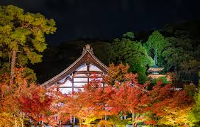 2019 japan fall colors forecast autumn foliage viewing