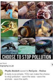 Pin By Kamryn On No To Plastic Save Earth Save Our Oceans Save Mother Earth